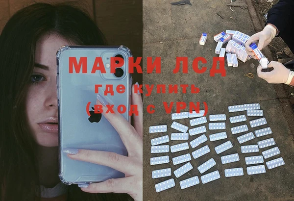 гидра Туринск