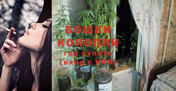 прущая мука Тында