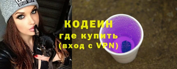 гидра Туринск