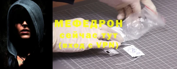 гидра Туринск