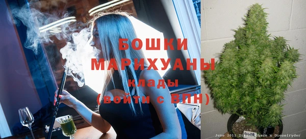 spice Тихвин