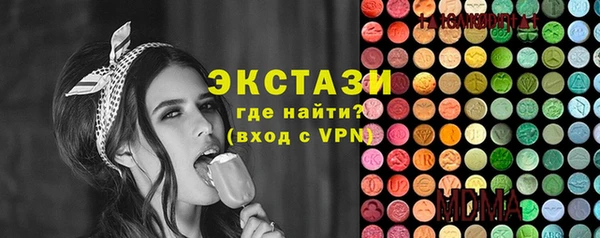 гидра Туринск